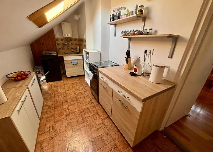 Purrfect Apartment 2